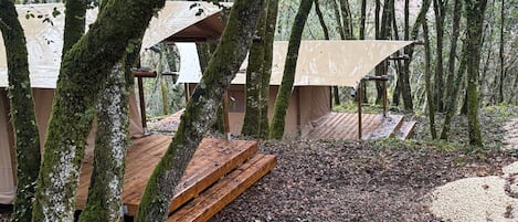 Jardines del alojamiento