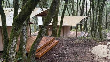 Enceinte de lâhĂ©bergement