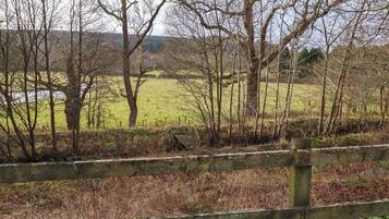 A rural landscape with a wooden fence, trees, and a grassy field.