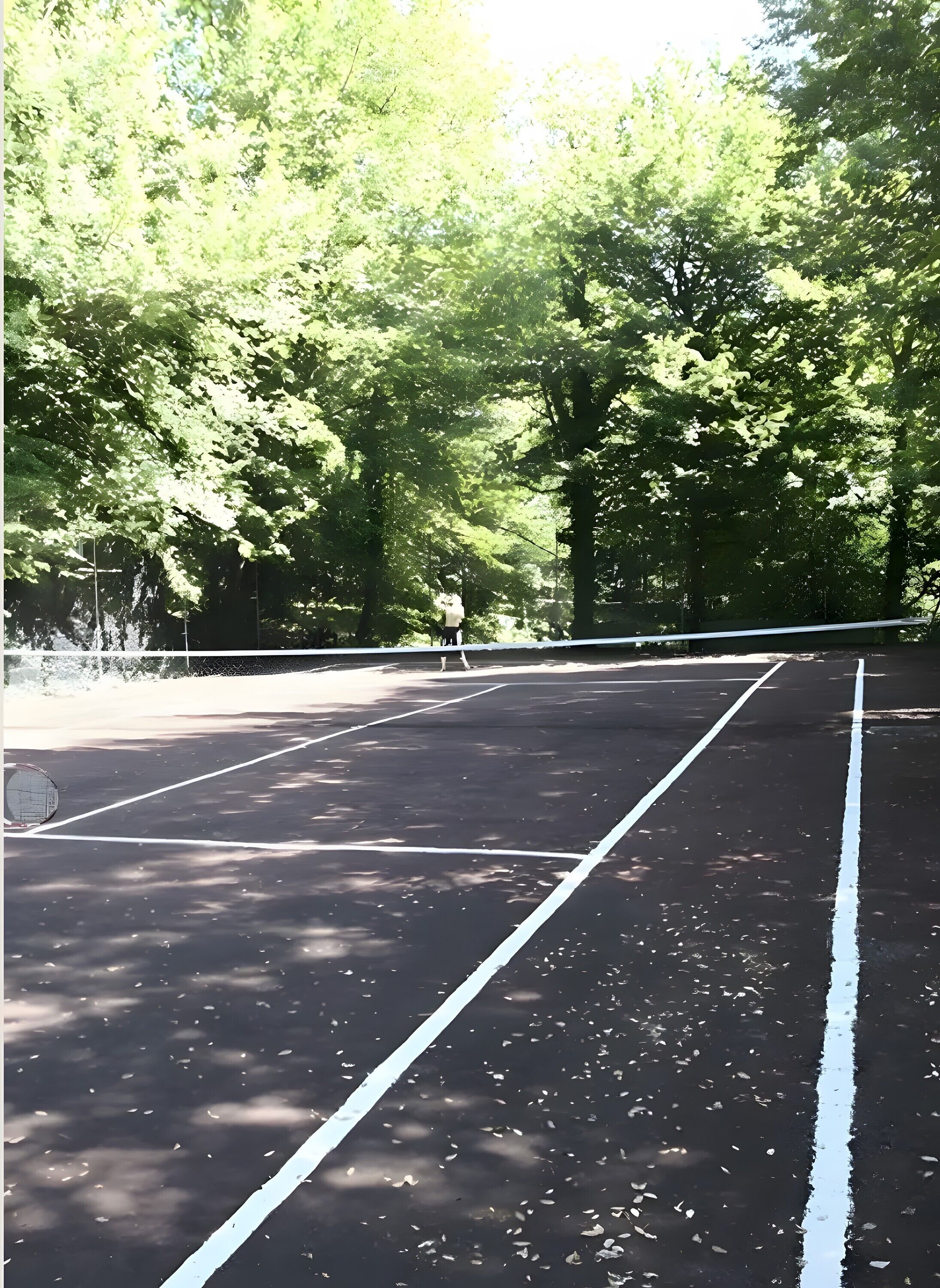 Sport court