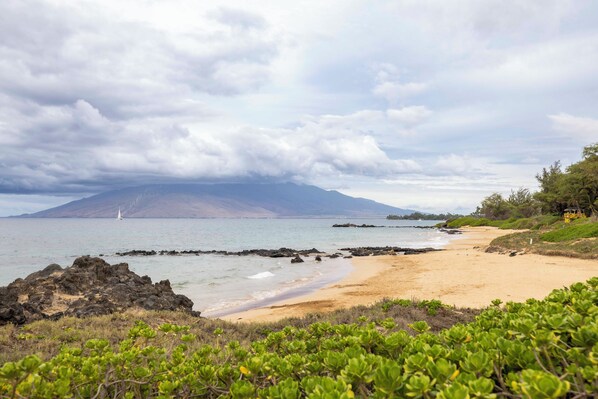 Beach nearby - Hale Kamaole 217 Beautiful, spacious one bedroom unit (Kihei)