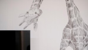 Un’illustrazione di una giraffa su una parete.