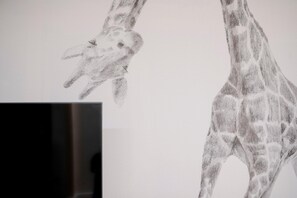 Interior detail - One Bedroom Apartment (Civitavecchia)