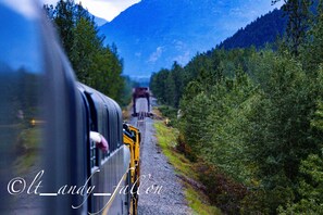 Un tren con locomotora amarilla y un vagón de pasajeros, viajando por una zona boscosa con montañas al fondo.