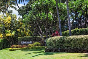 Property grounds - Beachfront 2BR across Kamaole Beach Park II Kihei summer deals (Kihei)