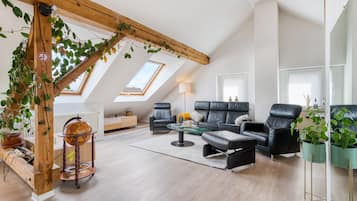 Fernseher, Kamin