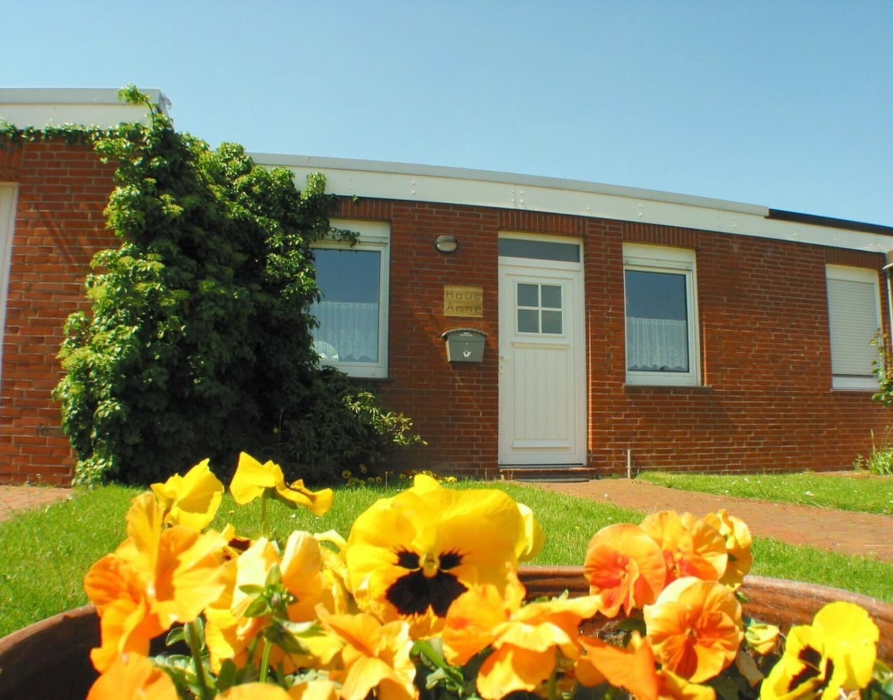 Außenseite Ferienhaus [Sommer]