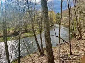 Miscellaneous - Luxury 3-bedroom house on 120 acres with hot tub & AC in charming Red Hook (Red Hook)