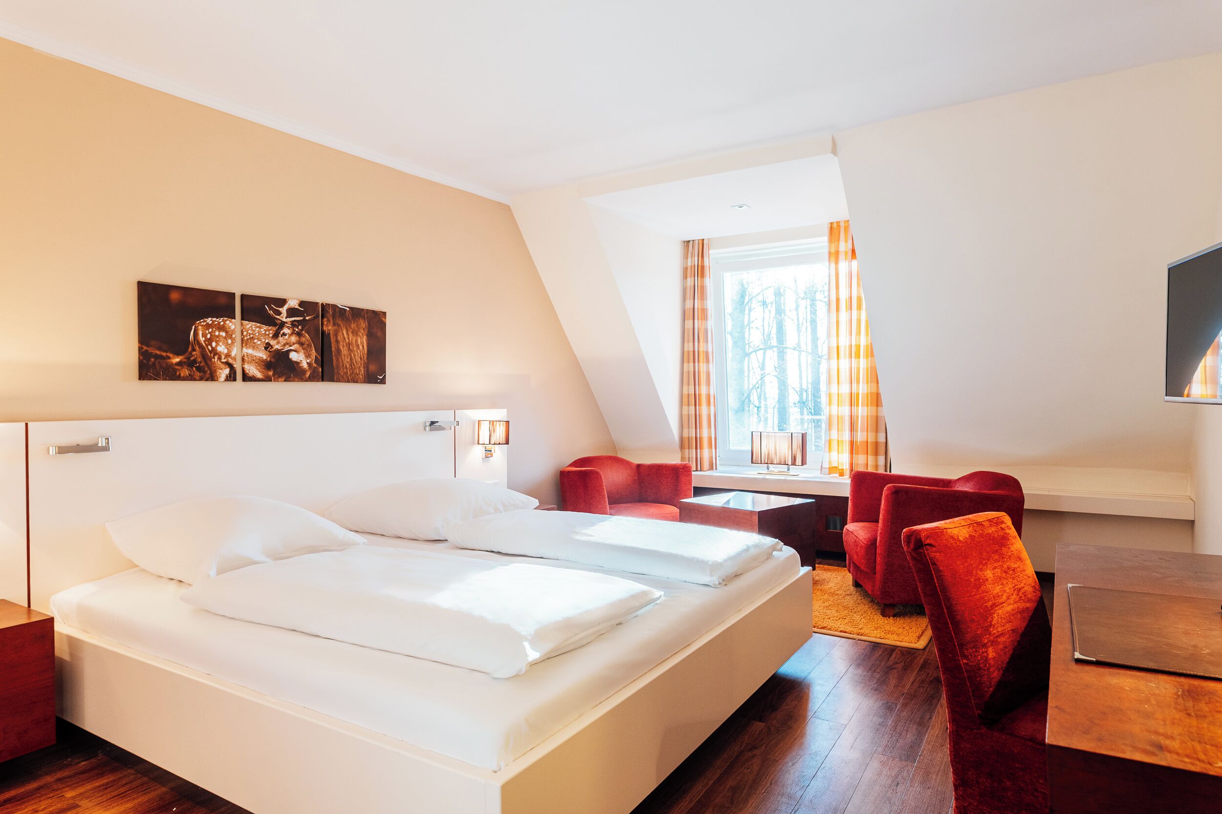 Comfort Double Room | Hypo-allergenic bedding, desk, laptop workspace, iron/ironing board