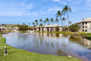 Exterior - Ground floor studio, near the ocean - amazing pools, gym, spas, & restaurants (Lihue)