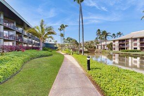 Property grounds - Ground floor studio, near the ocean - amazing pools, gym, spas, & restaurants (Lihue)