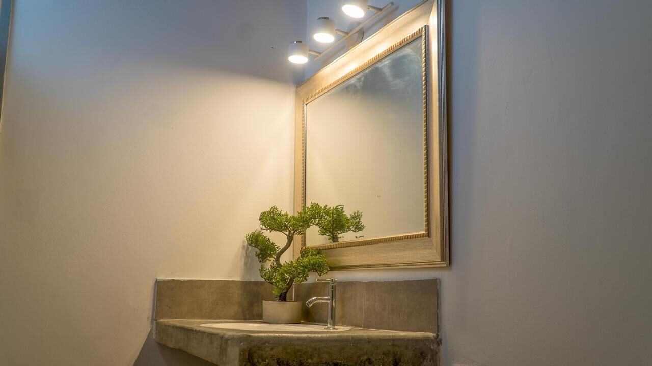 A bathroom with a sink, mirror, and a potted plant.