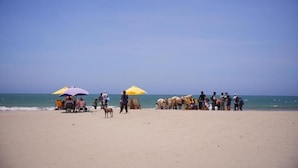 海灘