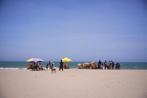 Beach - Bali Lodge Máncora (Máncora)