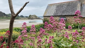 Un bâtiment en pierre avec un toit en pente, entouré de fleurs roses et d’un arbre.