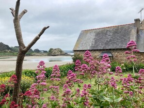 Property grounds - Ty Kerzont:Charming gîte, oasis of nature and calm, near Perros-Guirec, (COATREVEN)