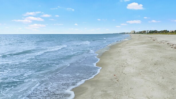Une plage avec un rivage sablonneux et des vagues de l’océan.