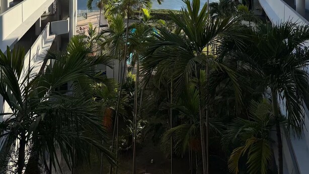 Vista de un edificio moderno con balcón que da a un cuerpo de agua, palmeras y un horizonte urbano distante.