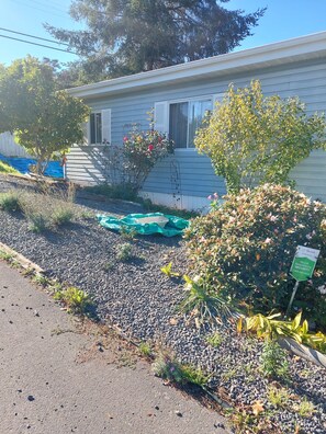 Jardines del alojamiento
