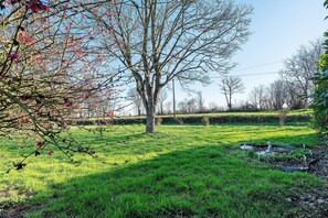 Terrain de l’hébergement 