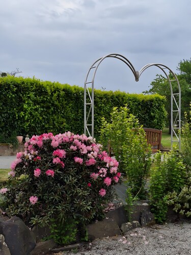 Gîte Chemin des Hêtres: Tranquility in Nature