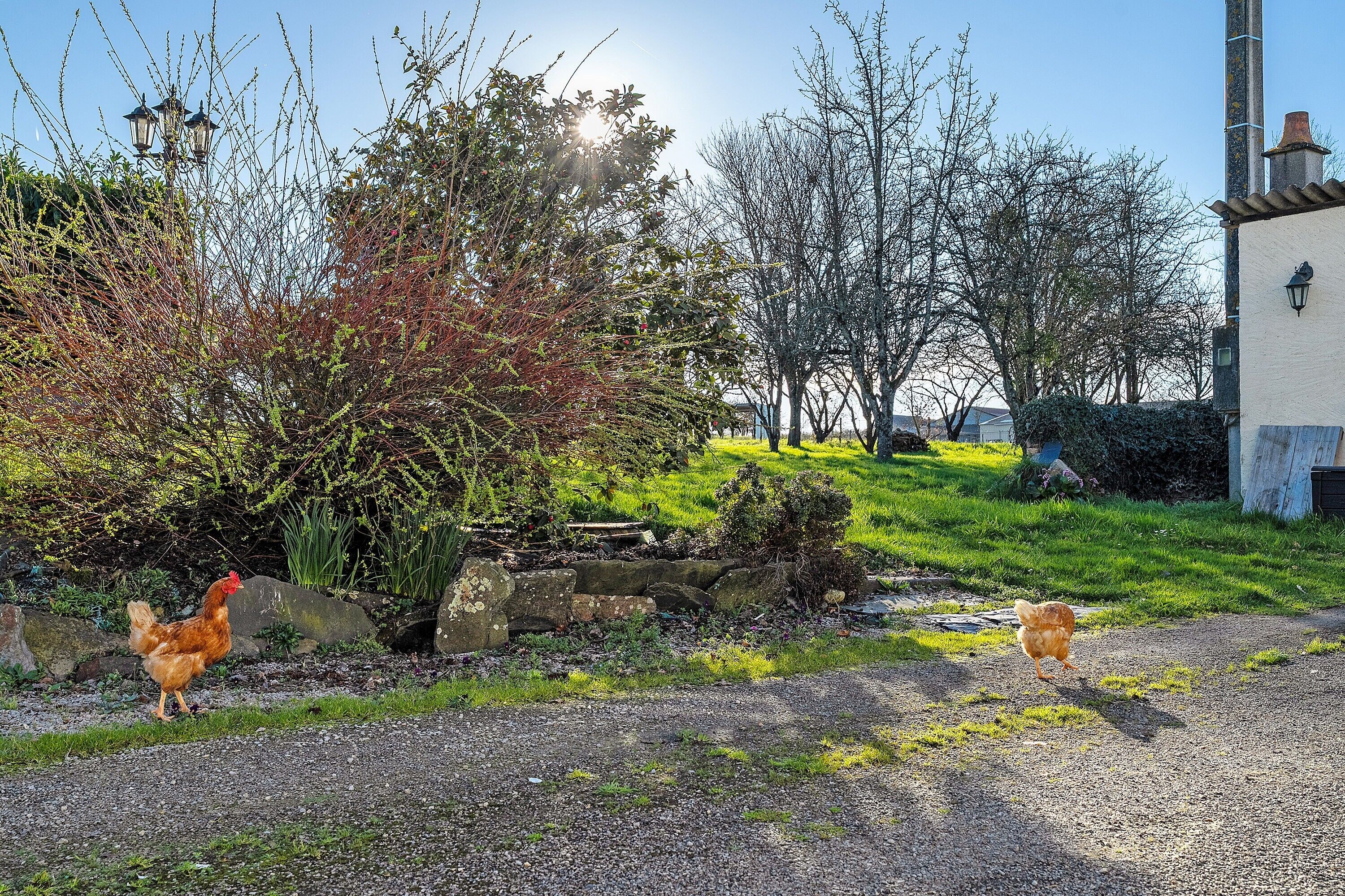 Enceinte de l’hébergement