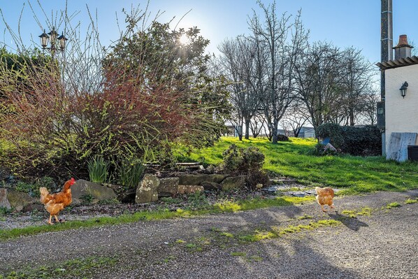 Terrain de l’hébergement 