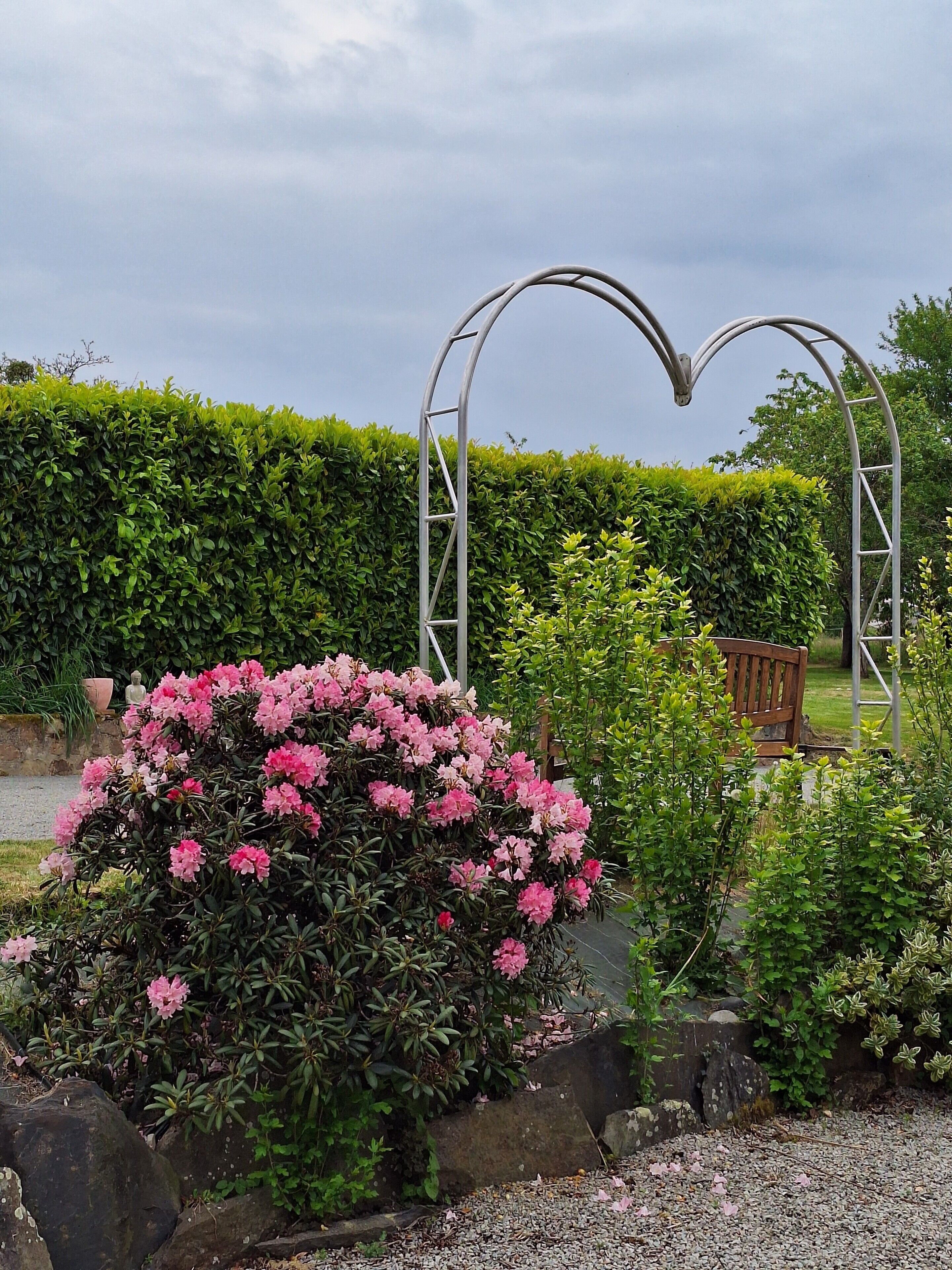 Un jardín con un arco metálico en forma de corazón, un banco y un gran arbusto de flores rosas.