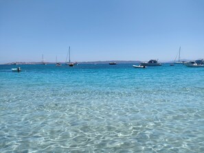 Beach - Blue Marlin Apartment (Santa Maria Coghinas)