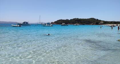 Blue Marlin Apartment