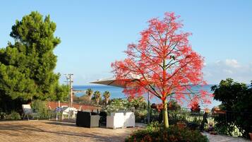Terraço/pátio