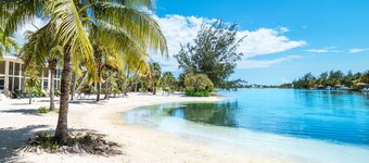 The Island Houses of Cayman Kai