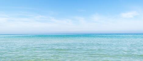 Una spiaggia nelle vicinanze