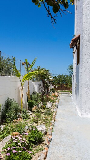 A narrow pathway leading to a white building with a tiled roof, surrounded by a garden with various plants and flowers. - Villa Aetos (Rethymno)