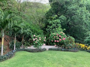 Property grounds - 🌴☀️New Listing☀️🌴Beach, pools, restaurant just steps away from spacious villa. (Ocotal, Guanacaste Province)