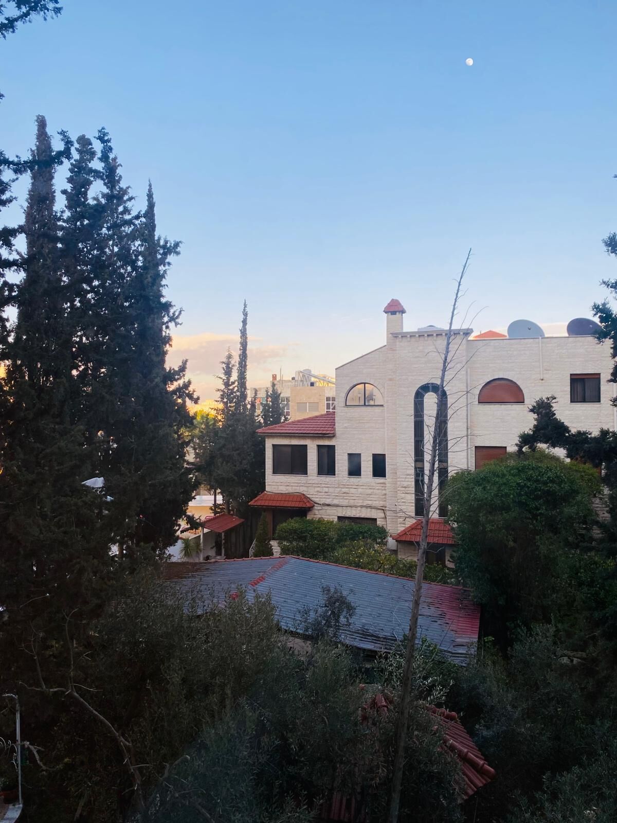 Studio, City View | Garden view