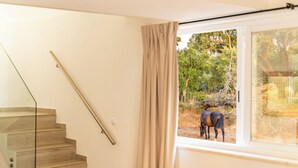 A staircase leading to a room with a window overlooking a horse grazing outside. - Studio with Pool View Terrace (Alcácer do Sal)