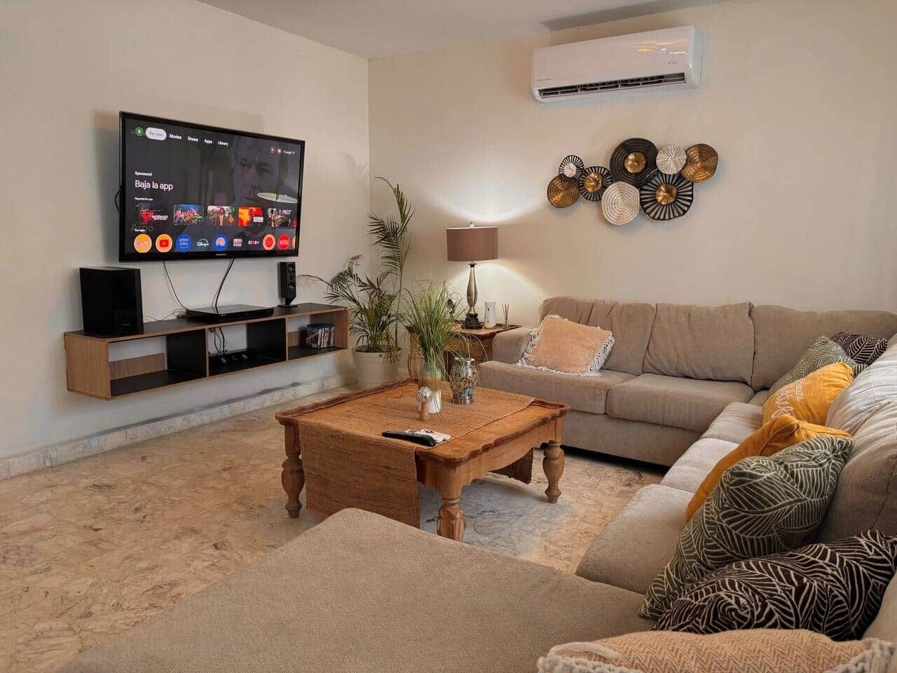 TV