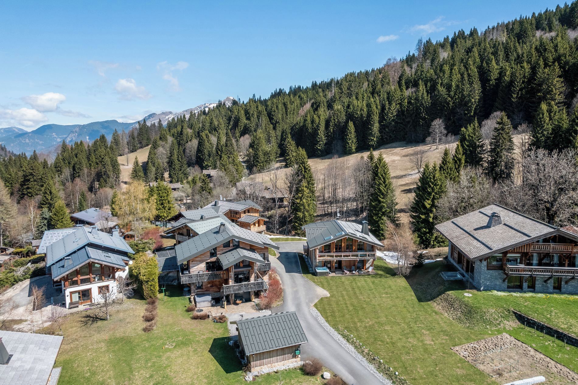 A residential area with multiple houses, a clear sky, and a mountainous backdrop.