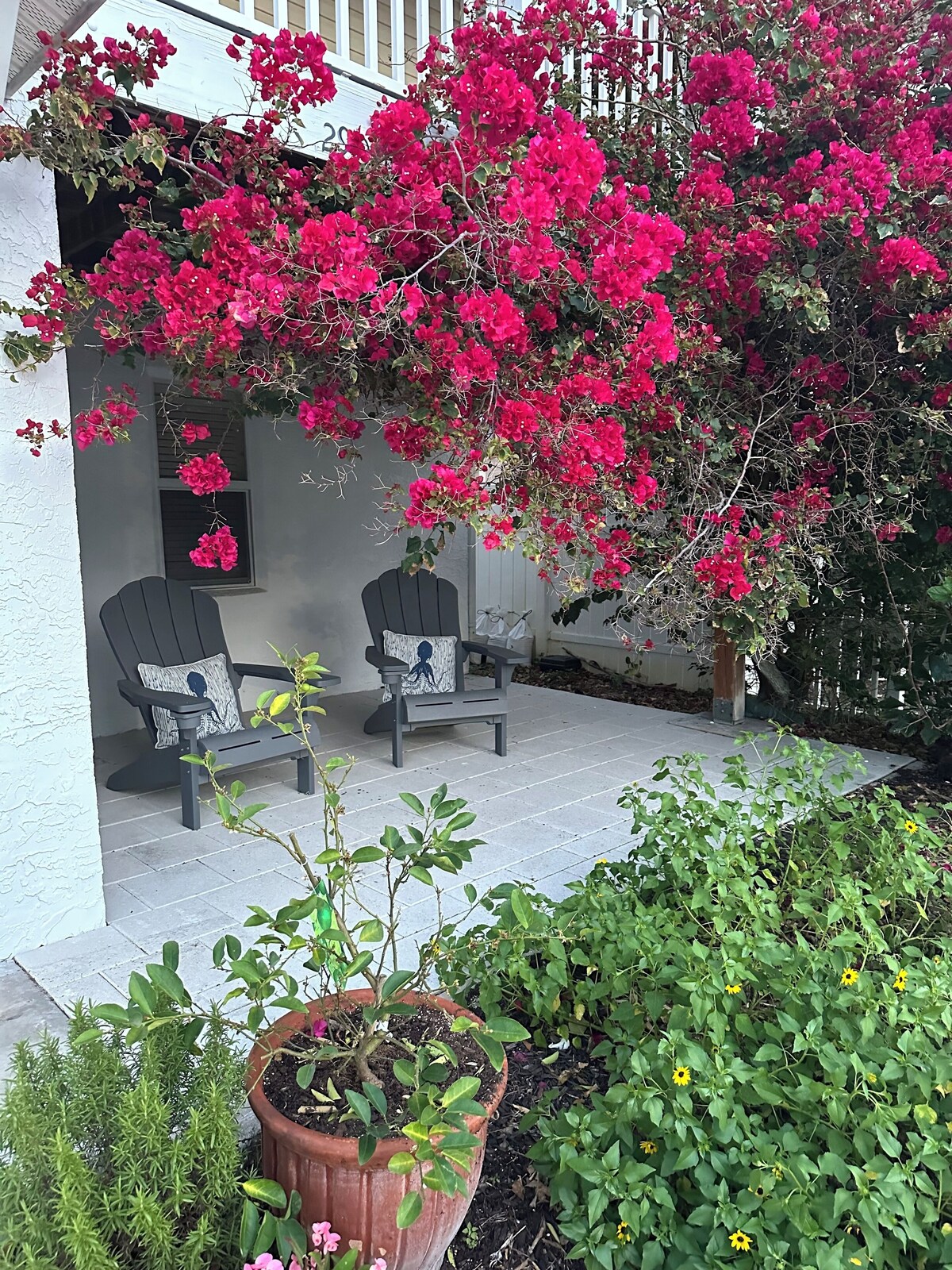 Imagen de perfil del propietario o de la propietaria