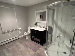 Séchoir à cheveux, serviettes fournies, savon, papier de toilette