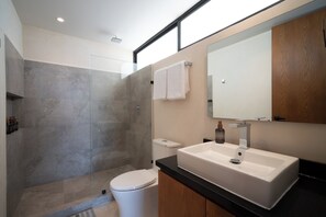 Ducha, toallas, jabón, shampoo