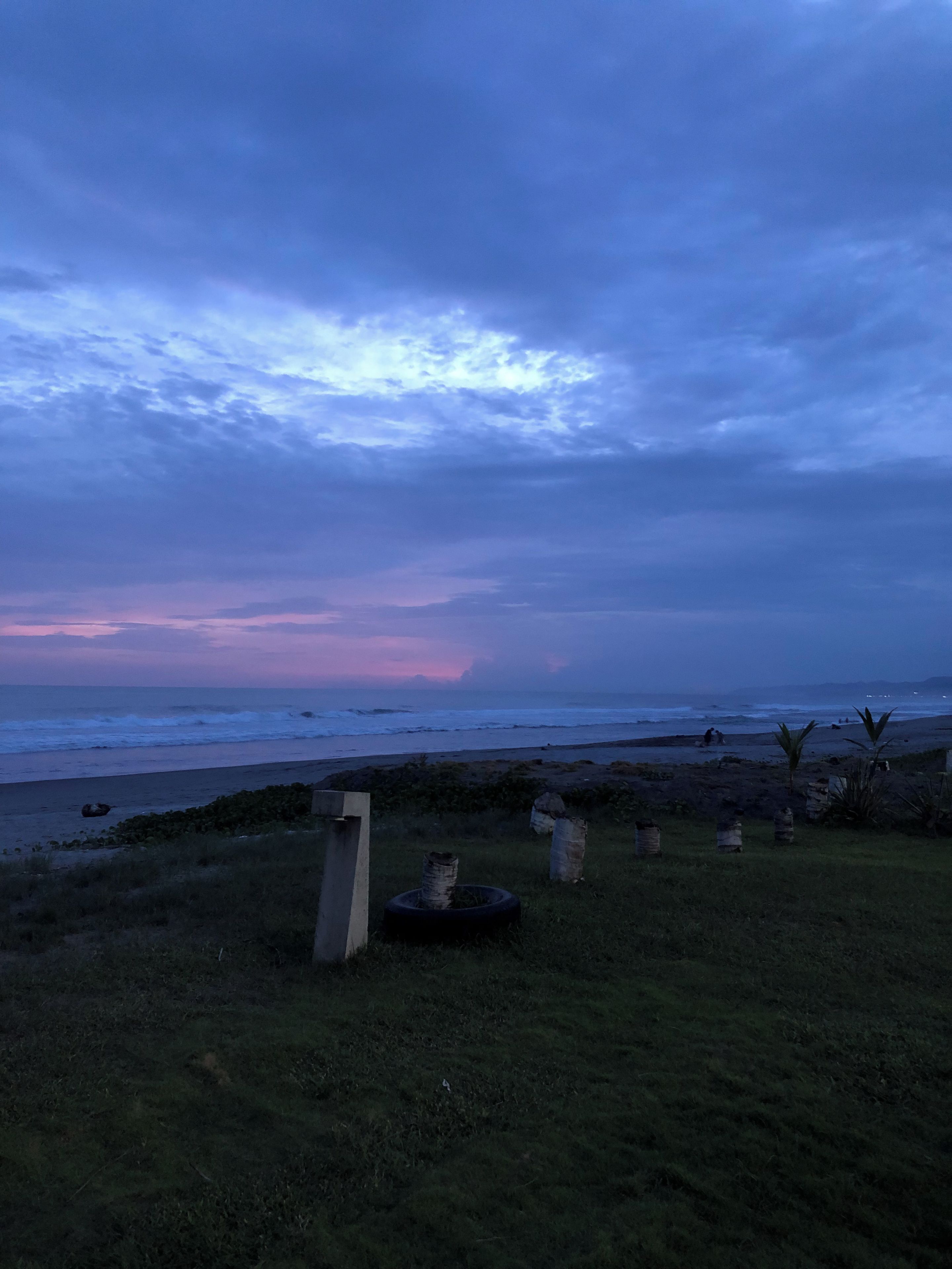 Una playa con un primer plano de césped, una masa de agua y un cielo nublado.
