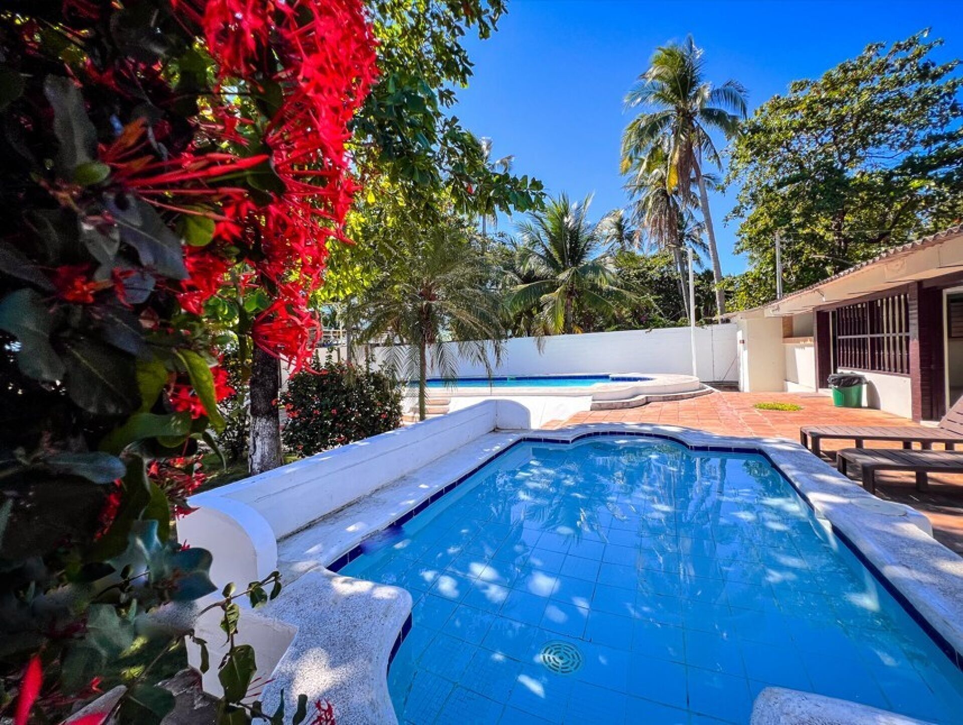 A swimming pool with a tiled deck, surrounded by lush greenery and palm trees.