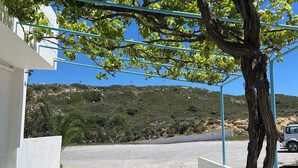 Ein Baum mit grünen Blättern vor einem weißen Gebäude, ein klarer, blauer Himmel und eine hügelige Landschaft im Hintergrund.