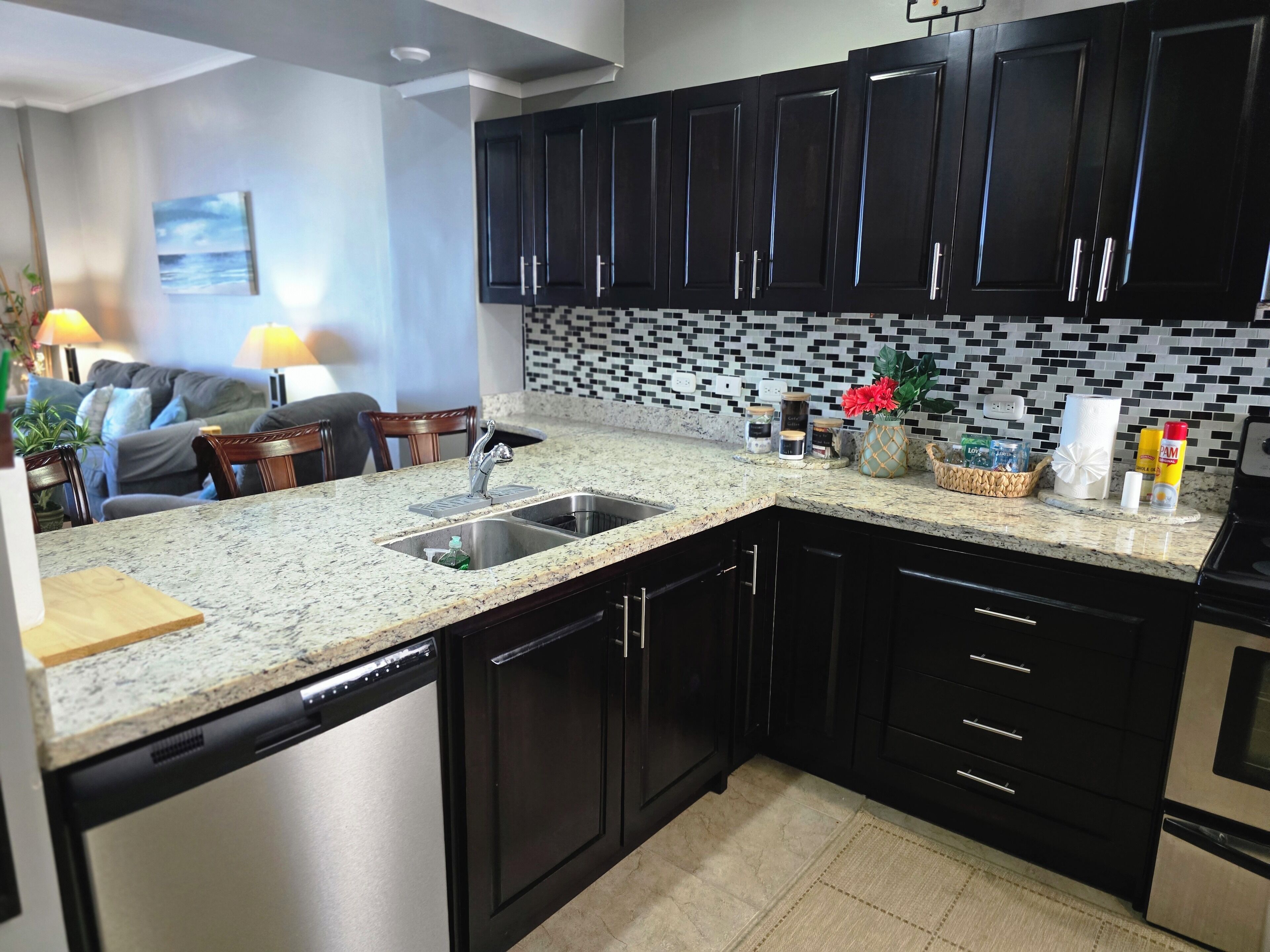 A kitchen with dark cabinets, a granite countertop, a dishwasher, and a tiled backsplash.