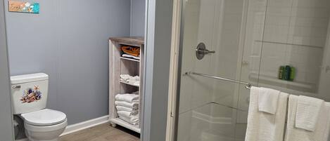 Douche, sèche-cheveux, serviettes fournies, savon