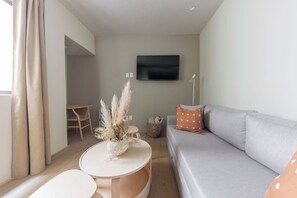 TV - 305 Fabulous Apt near La Diana/Reforma/U.S Embassy (Mexico City)