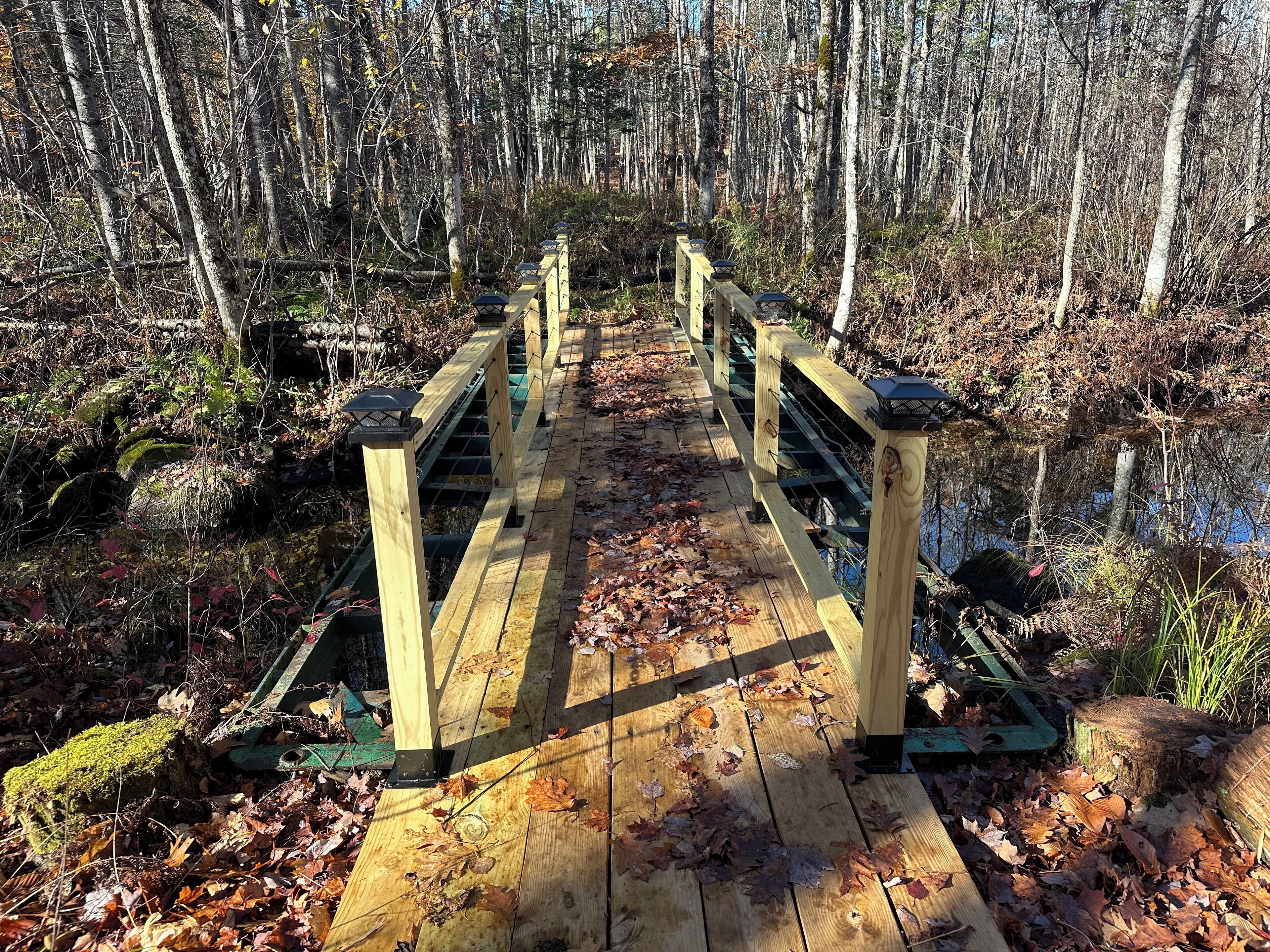 A wooden bridge with railings, surrounded by trees and fallen leaves.