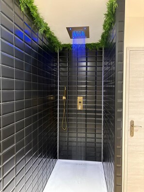 Shower, free toiletries, hair dryer, towels